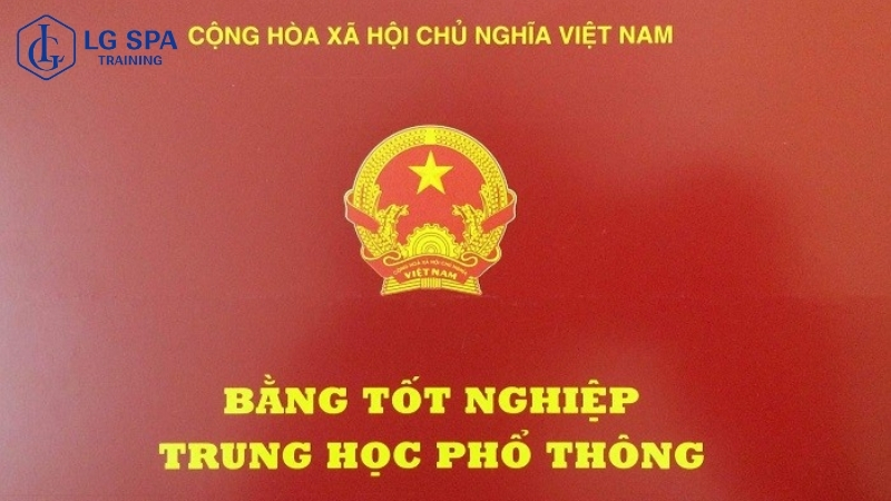 Nên học nghề gì khi không có bằng cấp 3