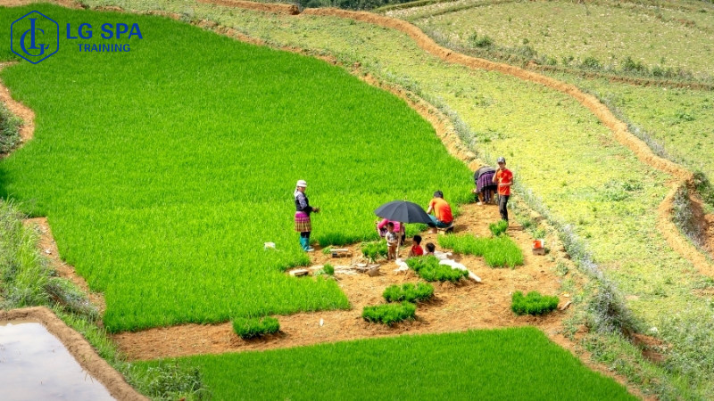 25 tuổi học nghề kỹ sư nông nghiệp