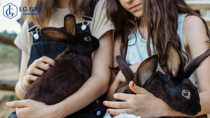 26 tuổi học nghề chăm sóc thú cưng