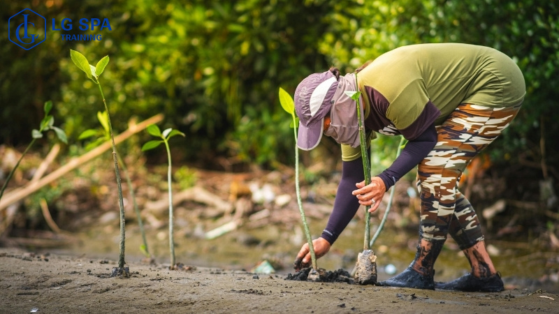 Học trồng và chăm sóc cây cảnh kiếm tiền dễ