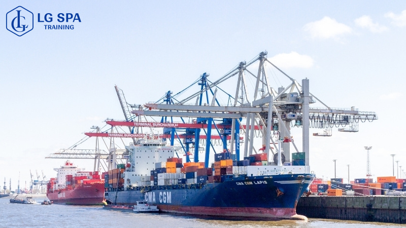 Kinh doanh quốc tế và xuất nhập khẩu dễ kiếm việc