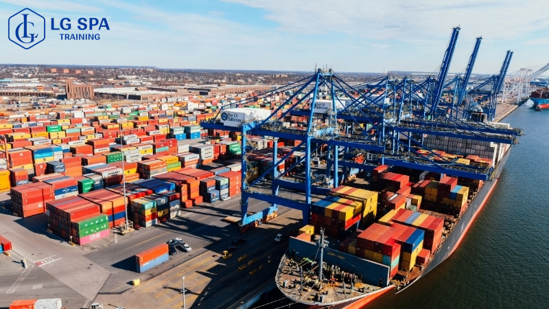 Ngành Logistics đang thuộc top ngành hot 2025