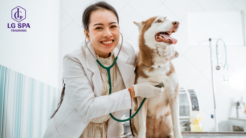 Nên học nghề gì bây giờ? Nghề chăm sóc thú cưng