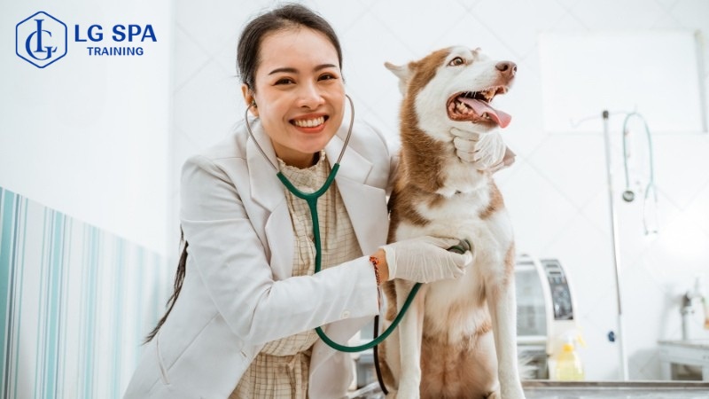 Nên học nghề gì bây giờ​? Nghề chăm sóc thú cưng