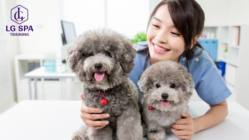 học nghề chăm sóc thú cưng không cần bằng cấp