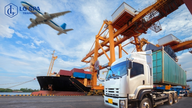 nên học đại học hay học nghề logistic thay vì học đại học